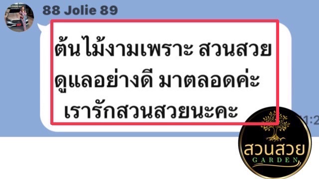 รับจัดสวน